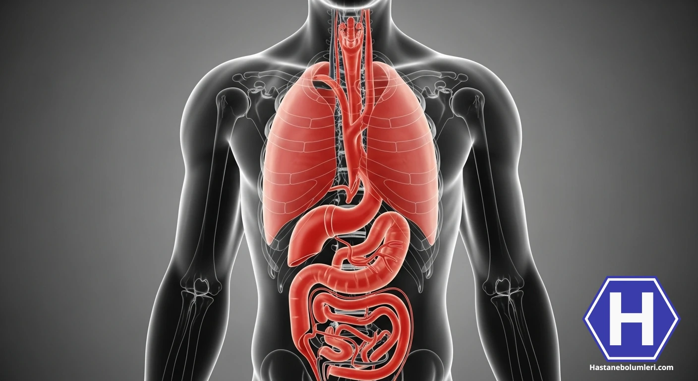 Aort diseksiyonu: Belirtileri ve Nedenleri